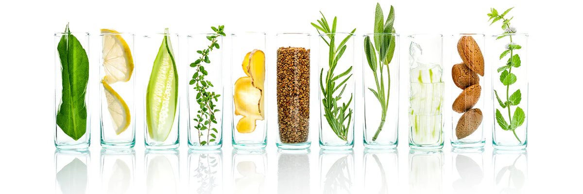 Bokka Botanika Ingredients