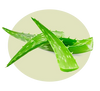 Aloe Vera Leaf Juice