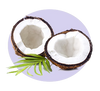 Coconut Fruit Juice