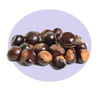Guarana Seed Extract