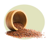 Quinoa Protein