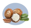 Shea Butter